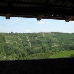 Terrace view