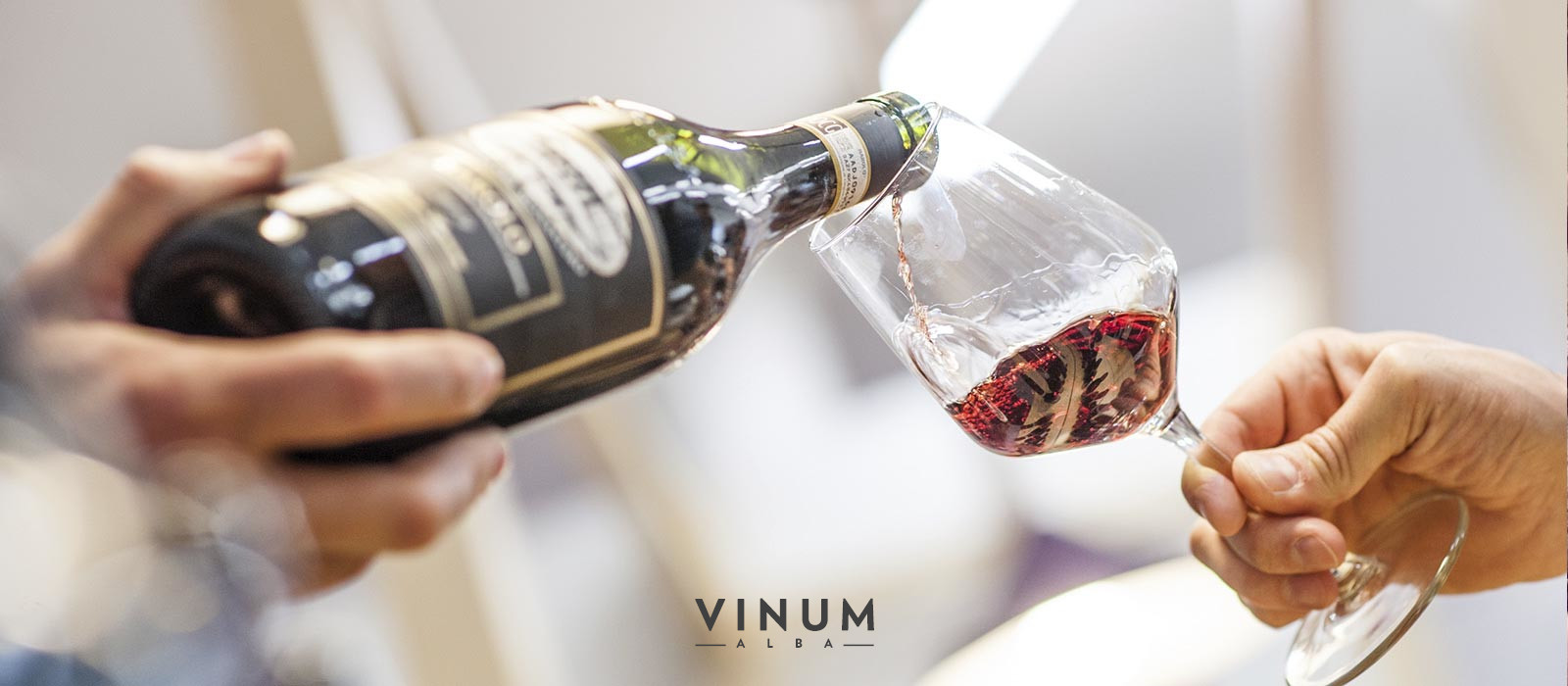 Vinum wine tasting Alba