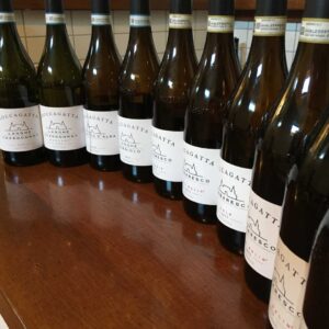 moccagatta_degustazione